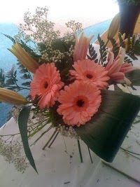 Flowers and Design by Nicole Dalby 1080620 Image 2